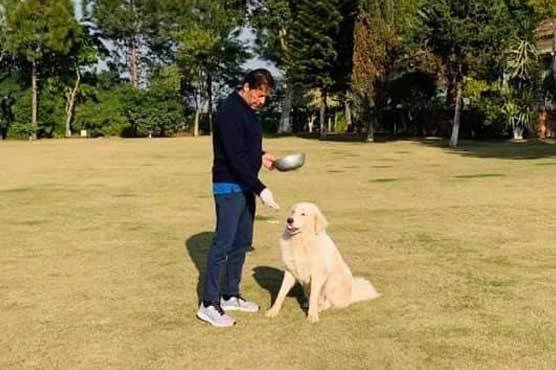 پی ڈی ایم کواحتجاج کا جنون،وزیراعظم پرسکون،اپنے کتوں کیساتھ کھیل میں مصروف