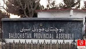 بلوچستان صوبائی نشستوں میں اضافے کی قانون سازی میں مشترکہ حکمت عملی اپنانے کا فیصلہ