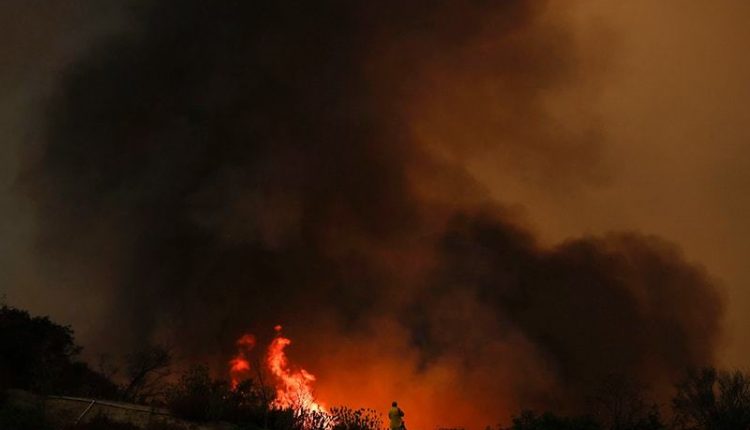 امریکی ریاست نیو میکسیکو کے جنگلات میں آتشزدگی،2 افراد ہلاک