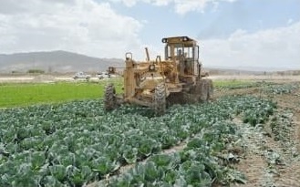 بلوچستان فوڈ اتھارٹی کا سیوریج کے پانی سے کاشت کردہ سبزیوں کے خلاف کریک ڈاؤن جاری