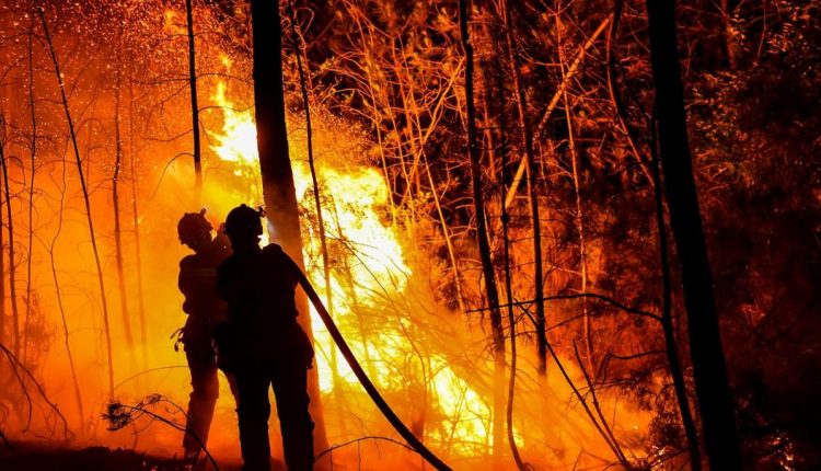 مراکش میں جنگلات کی آگ کو بجھانے کی کوشش کے دوران 3افراد ہلاک